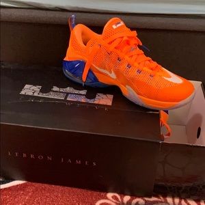 Lebron xii low